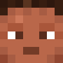 Minecraft skin icevs