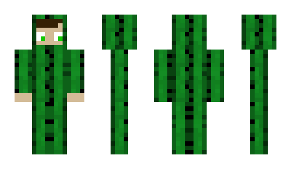 Minecraft skin Cactus18