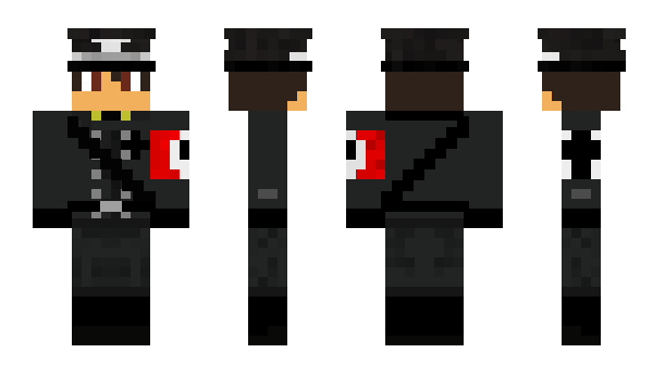 Minecraft skin Landborgg