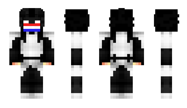 Minecraft skin Roebotlee