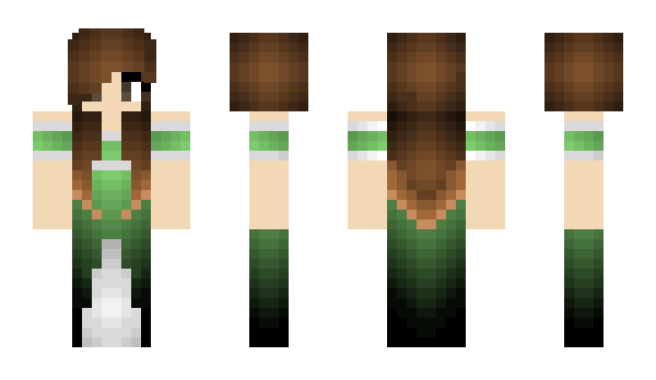 Minecraft skin Coaral