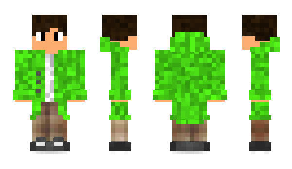 Minecraft skin FastMonk