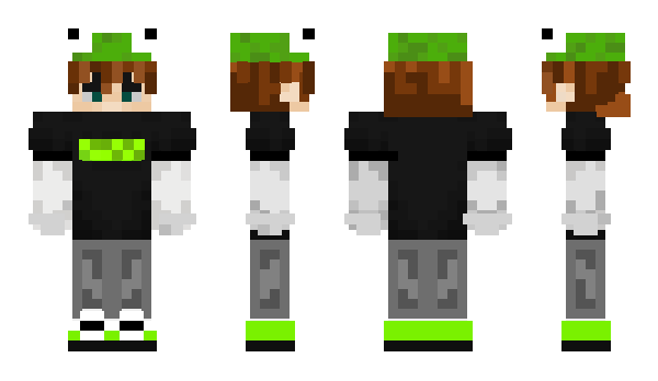 Minecraft skin IRACING