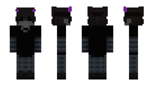 Minecraft skin camr