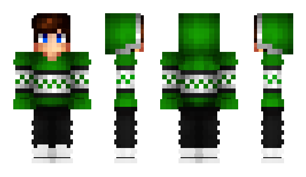 Minecraft skin DaniusPro