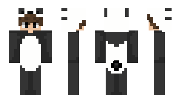 Minecraft скін по ніку PPug_