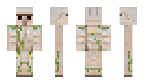 Minecraft skin ermejo