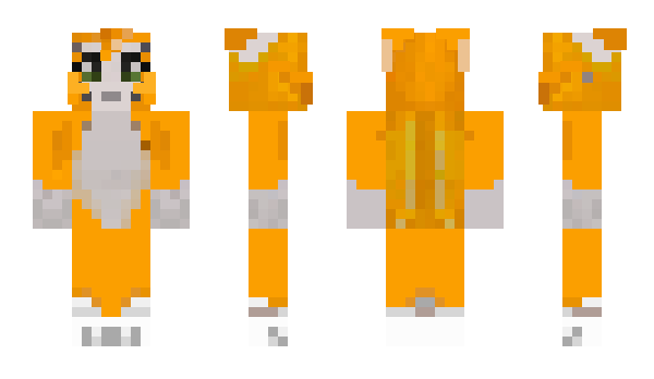 Minecraft skin sonicunder