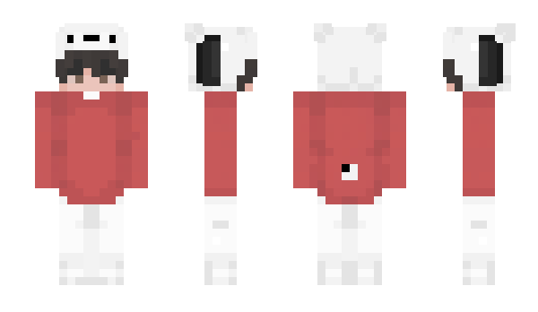 Minecraft skin Cassimoo