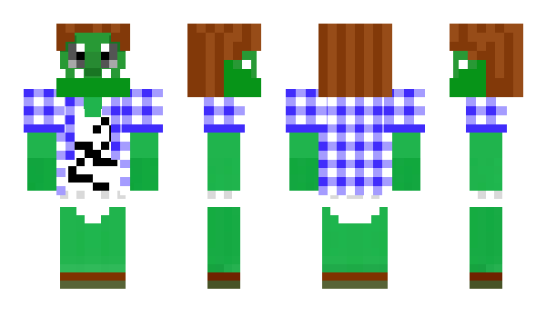 Minecraft skin FlaminChickWings