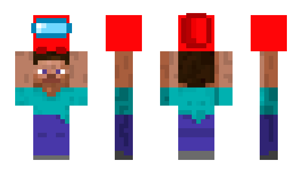 Minecraft skin SNS