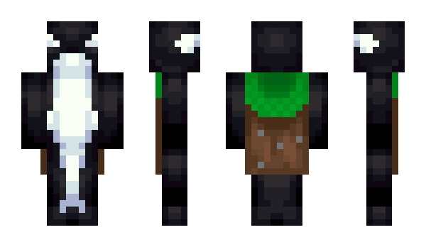 Minecraft скин по нику AruezPlus
