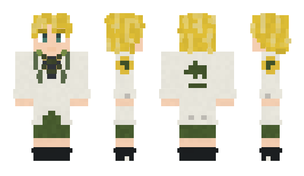 Minecraft skin Bjerringdyring