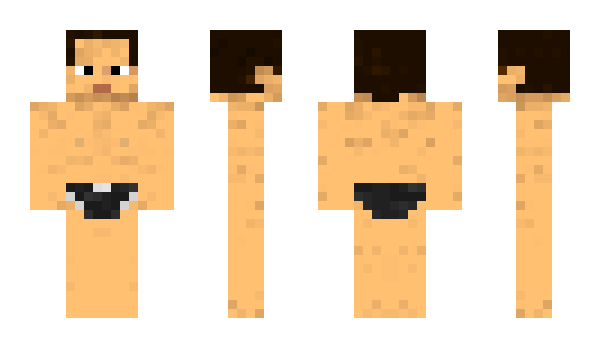 Minecraft skin INM