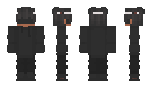 Minecraft skin Phiniixx