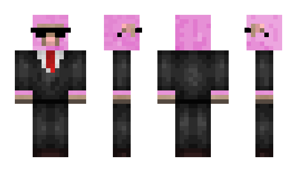 Minecraft skin SureibuD