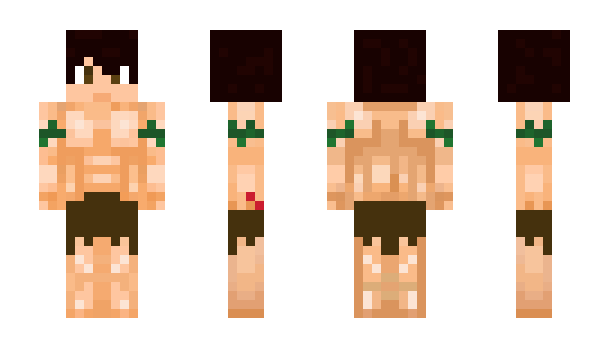 Minecraft skin roneypr