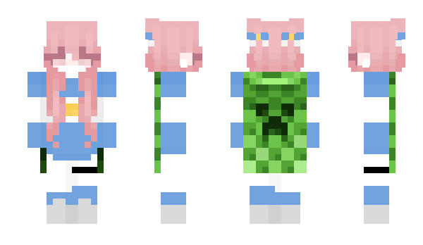 Minecraft skin ElGordoMinecraft