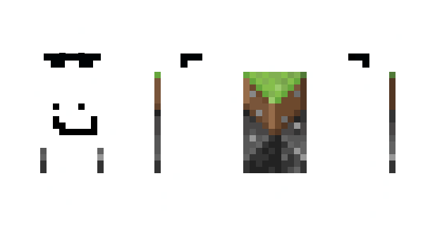 Minecraft skin xvqc
