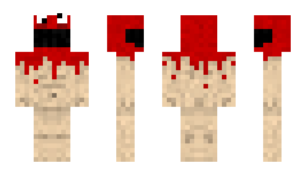 Minecraft skin slidan