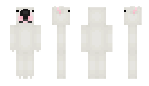 Minecraft skin ImComing