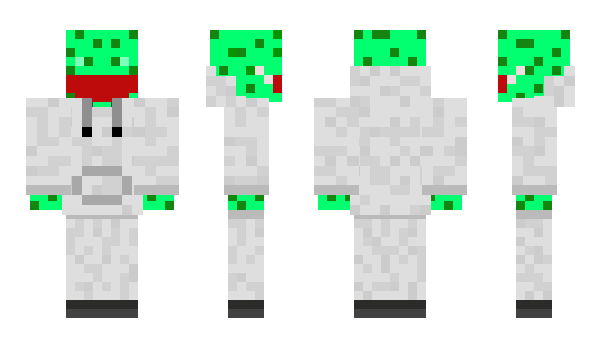 Minecraft skin karonavirusssr