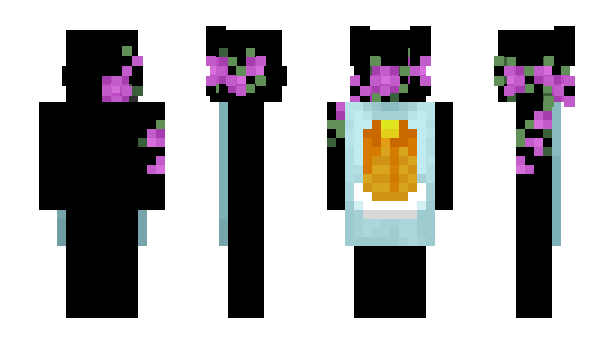 Minecraft skin ImATransgender