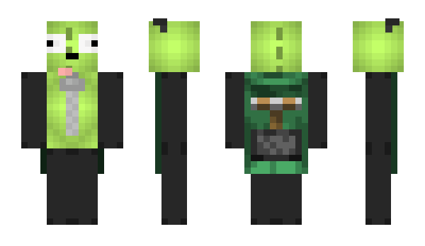 Minecraft skin Wiyer