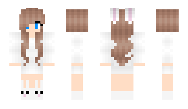 Minecraft skin aminal