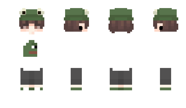 Minecraft skin Shinlli