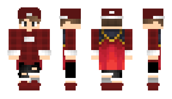Minecraft skin SAL30MM