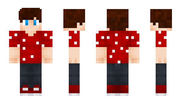 Minecraft skin xDannyl