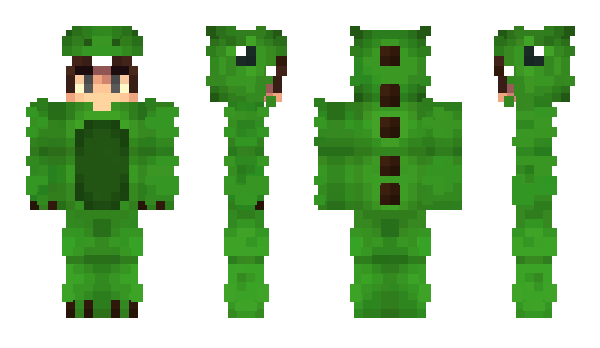 Minecraft skin The_exceeder