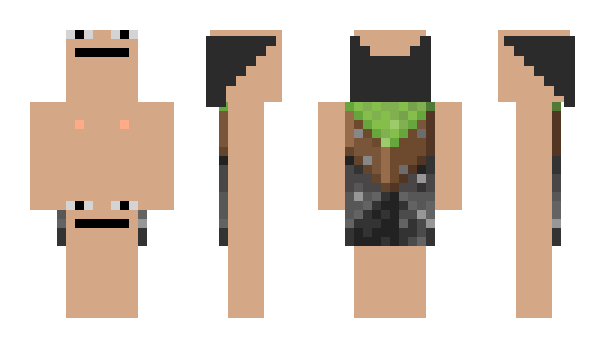 Minecraft skin Tostay