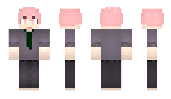 Minecraft skin _Reg