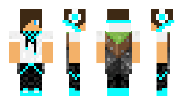 Minecraft skin Reprogrammable