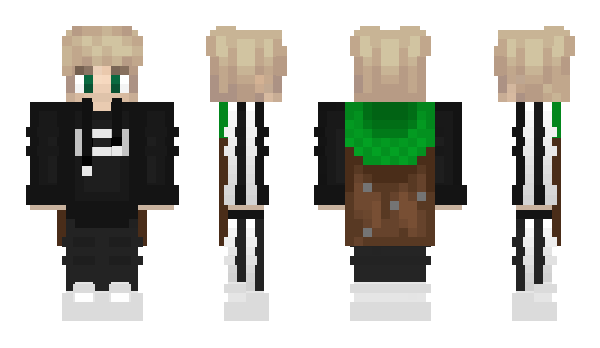 Minecraft skin Pavloknysh