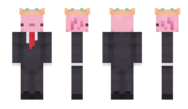 Minecraft skin 2neatPhji