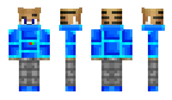 Minecraft skin WastLP