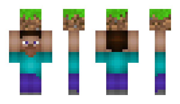 Minecraft skin _______x