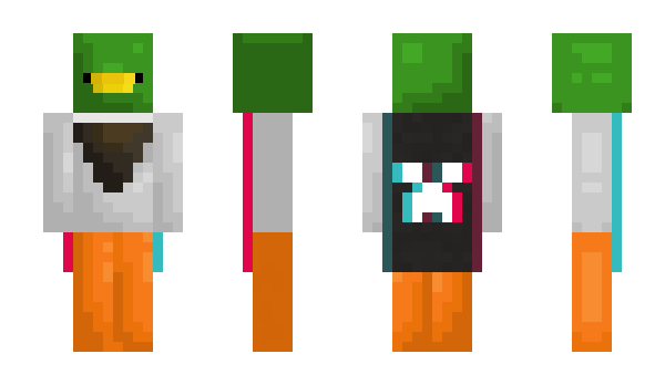 Minecraft skin DolphinMagik