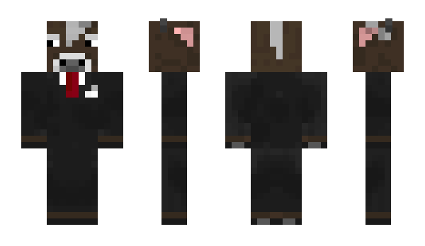 Minecraft skin LANN_