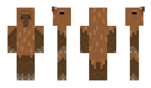 Minecraft skin CapivaraR