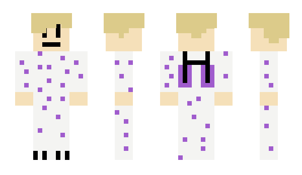 Minecraft skin Rochas313