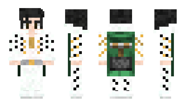 Minecraft skin DJ_AIR