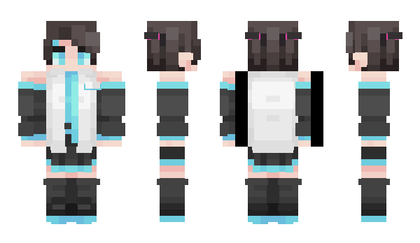 Minecraft skin ST300