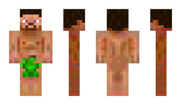Minecraft skin mayet