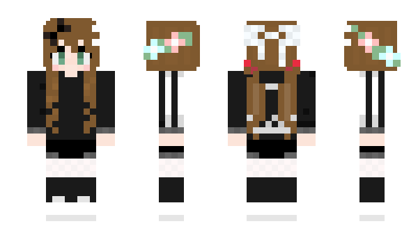Minecraft skin medeor