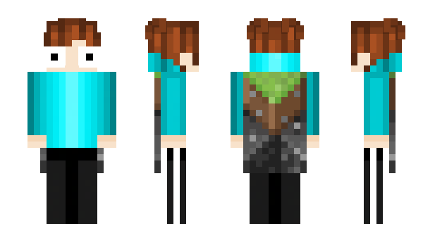 Minecraft skin _Ara_