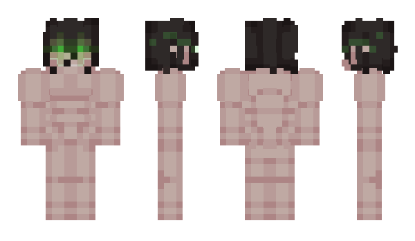 Minecraft skin AttakTitan